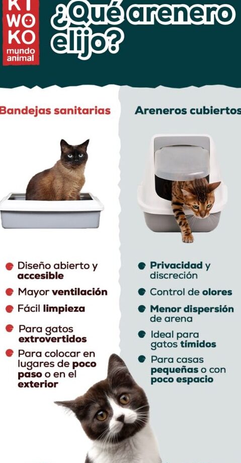 Arenero Cerrado para Gatos: Ventajas, Tipos y Cómo Elegir el Mejor 2 arenero cerrado para gatos ventajas tipos y como elegir el mejor