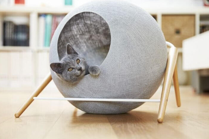 Cuevas para Gatos: Diseños y Tips para Crear un Espacio de Relax para tus Felinos 2 cuevas para gatos disenos y tips para crear un espacio de relax para tus felinos