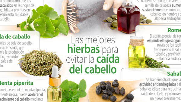 productos naturales para prevenir la caida del cabello soluciones efectivas