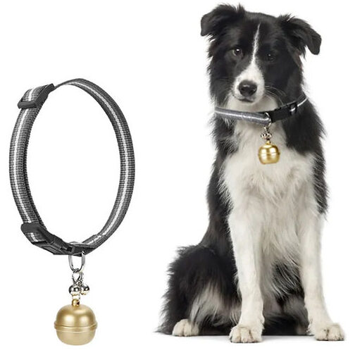 Localizadores GPS para Mascotas: Encuentra a tu Amigo Fiel en Cualquier Lugar 2 localizadores gps para mascotas encuentra a tu amigo fiel en cualquier lugar